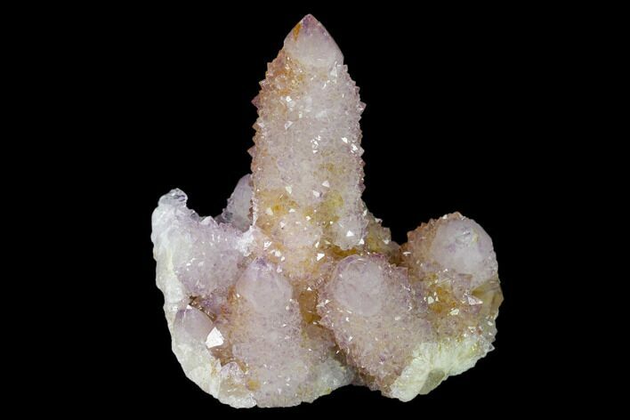 Cactus Quartz (Amethyst) Crystal Cluster - South Africa #137804